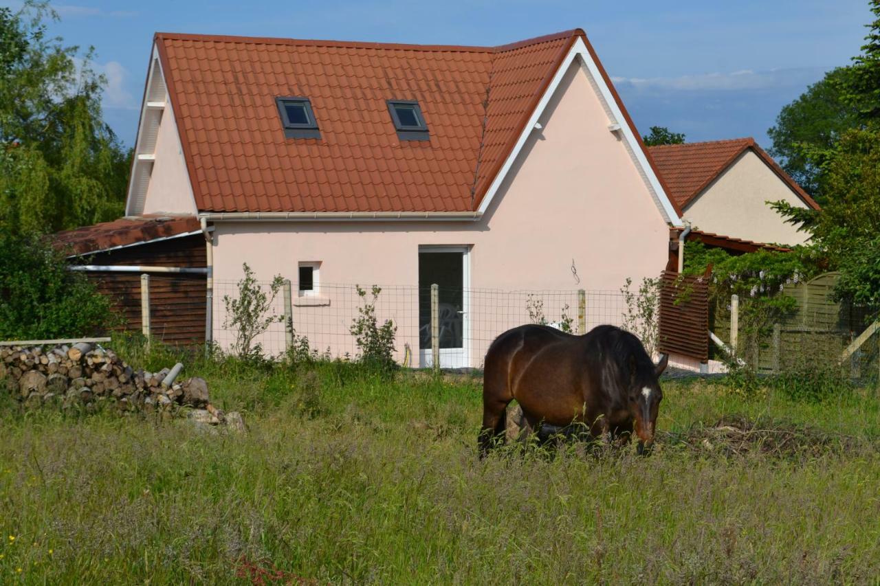 Le Paddock Des Caloges